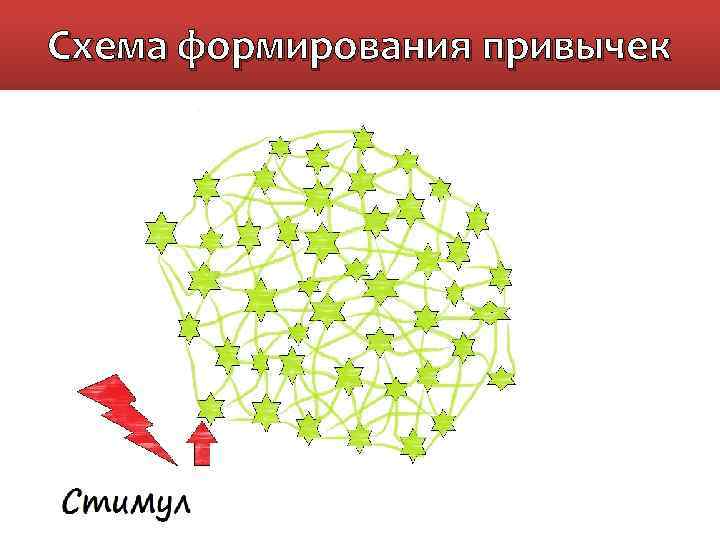 Схема формирования привычек 