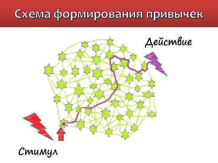 Схема формирования привычек 