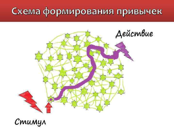 Схема формирования привычек 