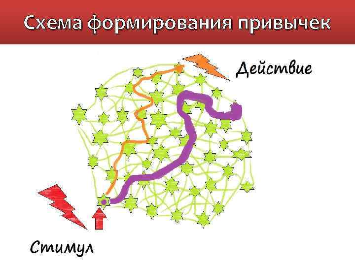 Схема формирования привычек 