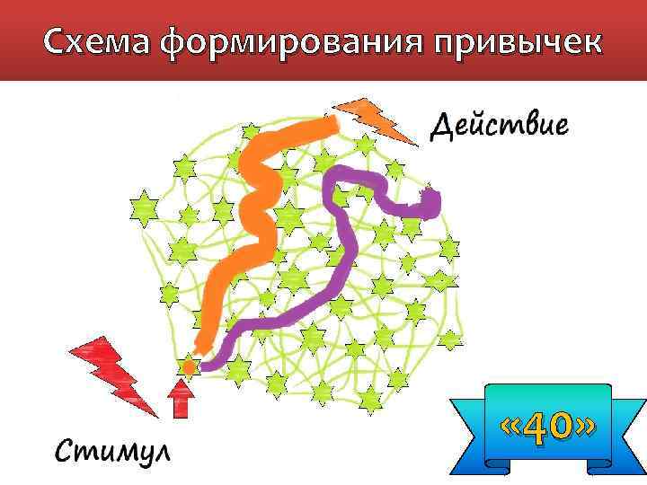Схема формирования привычек « 40» 
