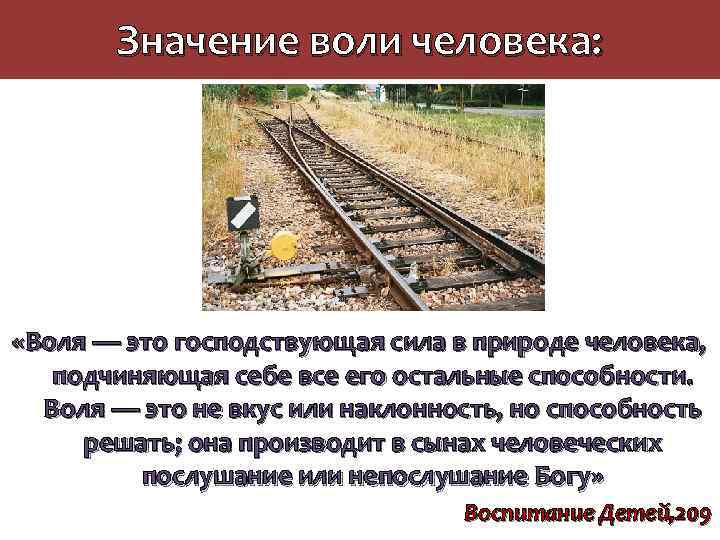 Значение воли человека: «Воля — это господствующая сила в природе человека, подчиняющая себе все