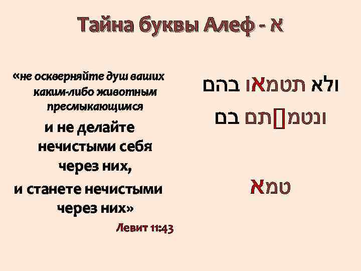 Тайны букв. Буква Алеф значение. Алеф буква еврейского алфавита. Происхождение буквы Алеф. Алеф нуль символ.