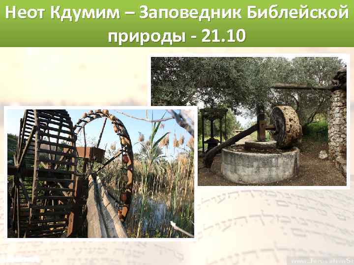 Неот Кдумим – Заповедник Библейской природы - 21. 10 