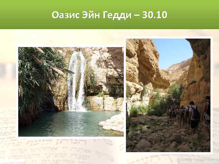 Оазис Эйн Гедди – 30. 10 