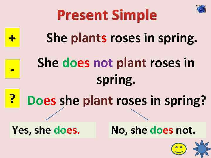 Present Simple + She plants roses in spring. She does not plant roses in