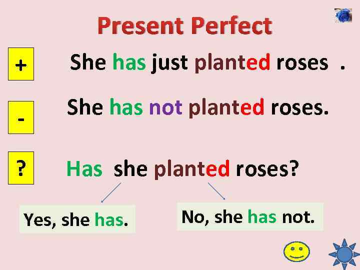 Present Perfect + She has just planted roses. - She has not planted roses.