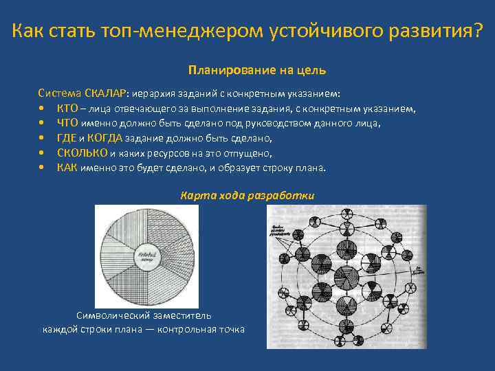 Как стать топ-менеджером устойчивого развития? Планирование на цель Система СКАЛАР: иерархия заданий с конкретным