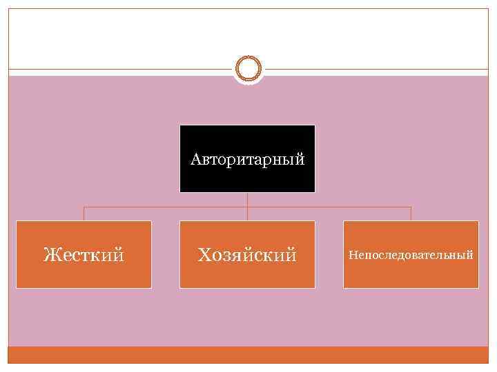 Авторитарный Жесткий Хозяйский Непоследовательный 