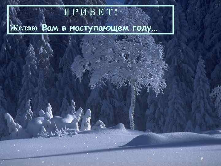 ПРИВЕТ! Желаю Вам в наступающем году… 