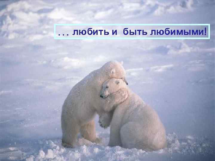 . . . любить и быть любимыми! 