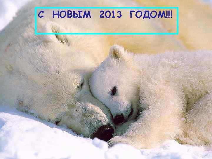 . . . we want you to know that you are very special to