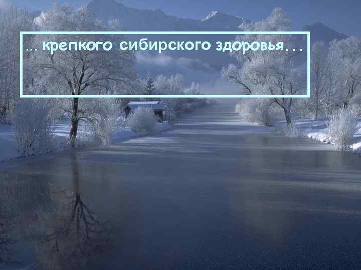 . . . крепкого сибирского здоровья. . . 