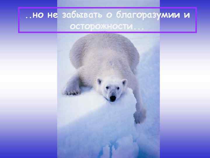 . . но не забывать о благоразумии и осторожности. . . 