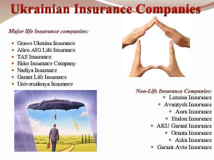 Ukrainian Insurance Companies Grawe Ukraina Insurance Alico AIG Life Insurance TAS Insurance Ekko Insurance