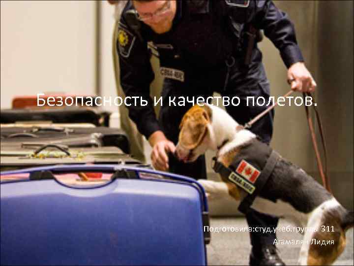 Безопасность и качество полетов. Подготовила: студ. учеб. группы 311 Агамалян Лидия 