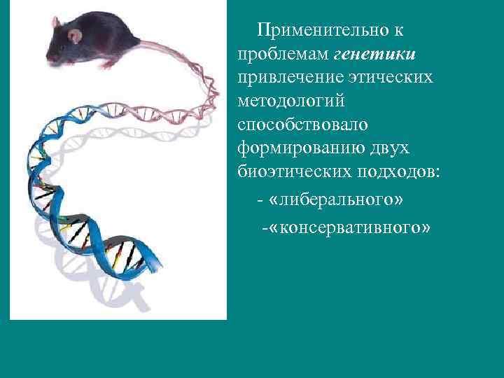 Применительно к проблемам генетики привлечение этических методологий способствовало формированию двух биоэтических подходов: - «либерального»