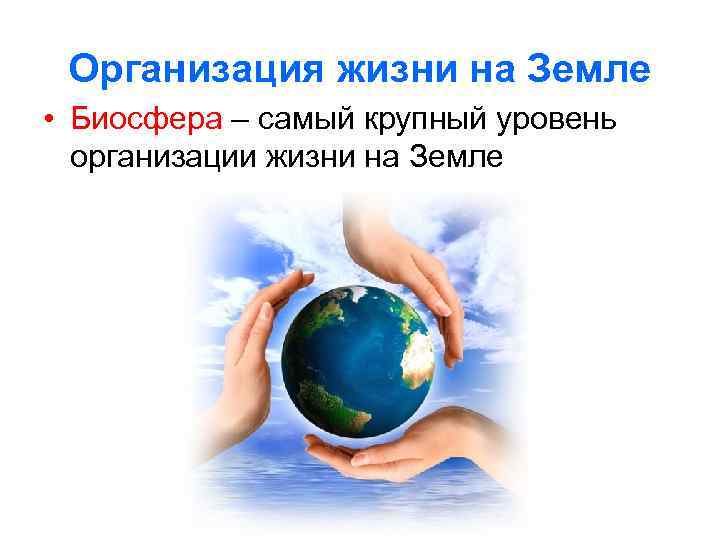 Организация жизни на Земле • Биосфера – самый крупный уровень организации жизни на Земле