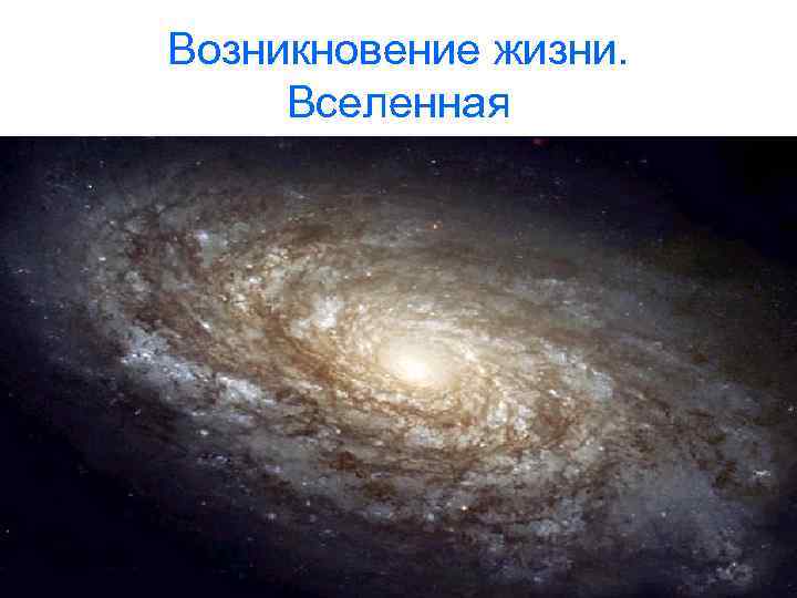 Возникновение жизни. Вселенная 