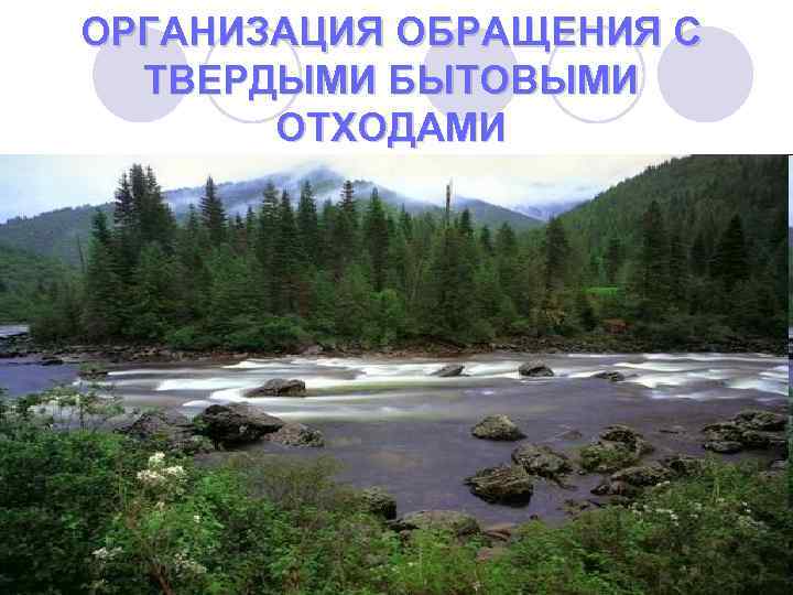 ОРГАНИЗАЦИЯ ОБРАЩЕНИЯ С ТВЕРДЫМИ БЫТОВЫМИ ОТХОДАМИ 