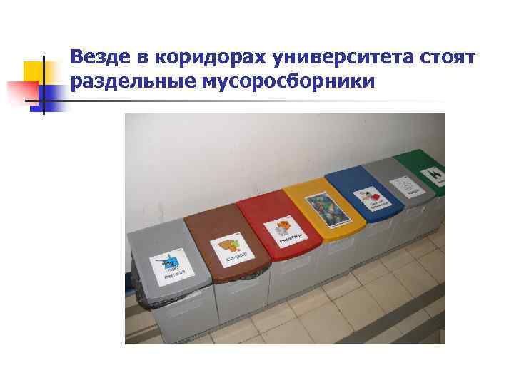 Везде в коридорах университета стоят раздельные мусоросборники 