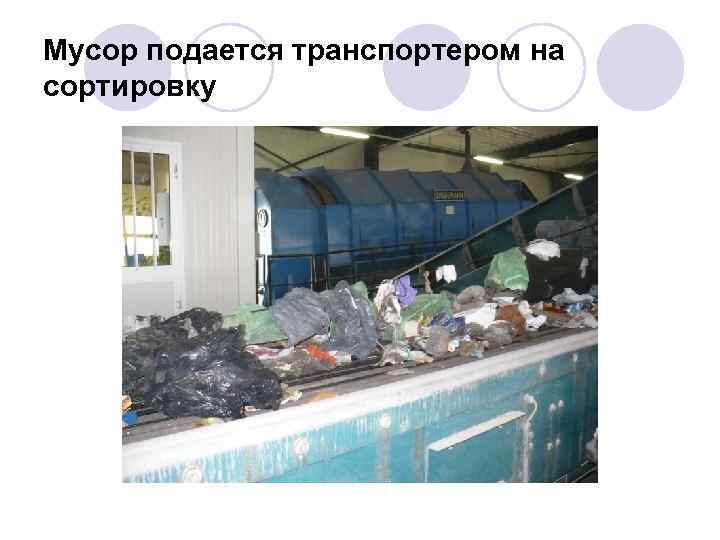 Мусор подается транспортером на сортировку 