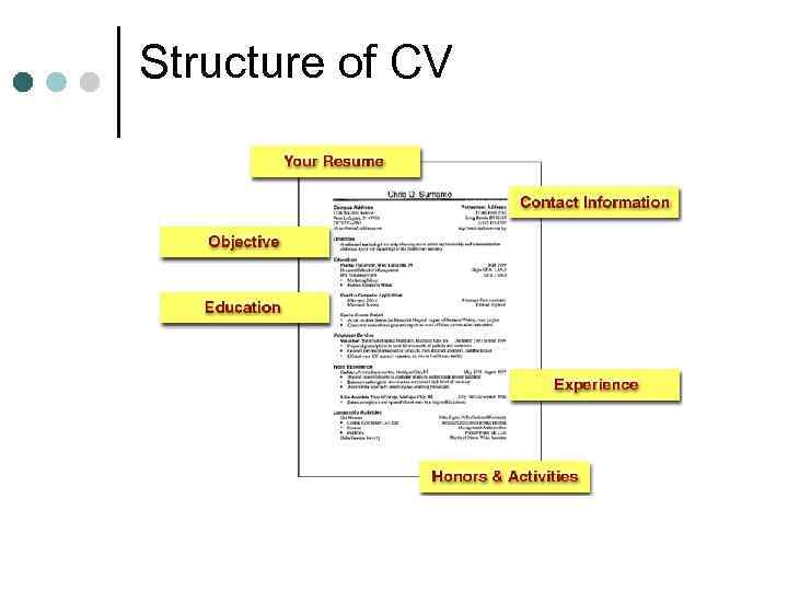 Structure of CV 