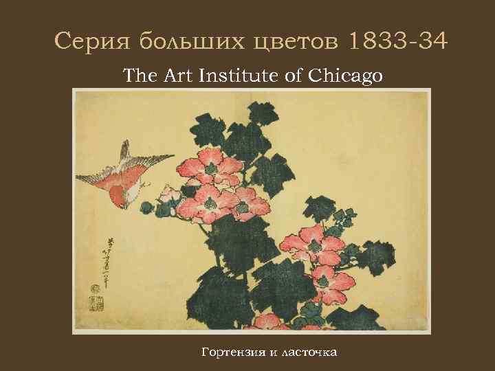 Серия больших цветов 1833 -34 The Art Institute of Chicago Гортензия и ласточка 