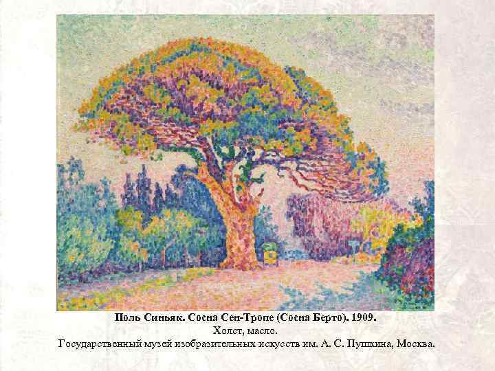 Поль Синьяк. Сосна Сен-Тропе (Сосна Берто). 1909. Холст, масло. Государственный музей изобразительных искусств им.
