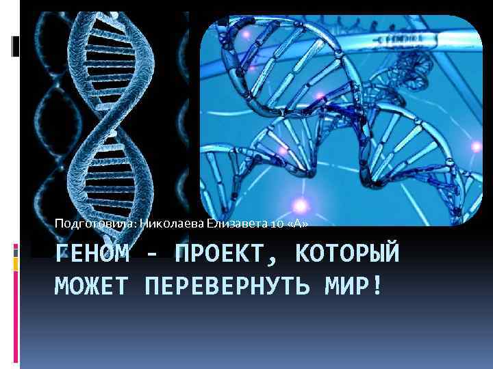 Подготовила: Николаева Елизавета 10 «А» ГЕНОМ - ПРОЕКТ, КОТОРЫЙ МОЖЕТ ПЕРЕВЕРНУТЬ МИР! 
