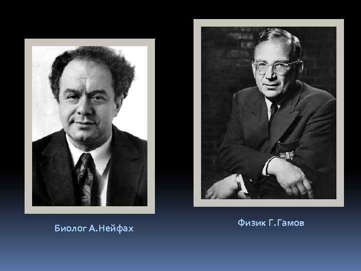 Биолог А. Нейфах Физик Г. Гамов 