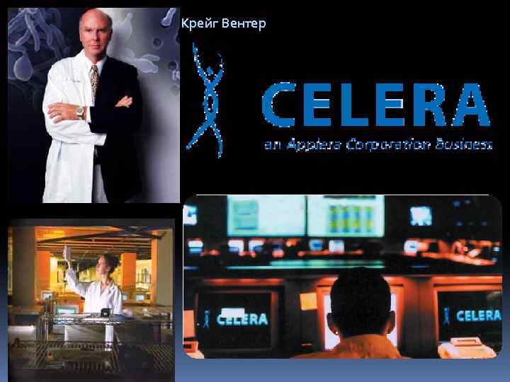 Крейг Вентер 