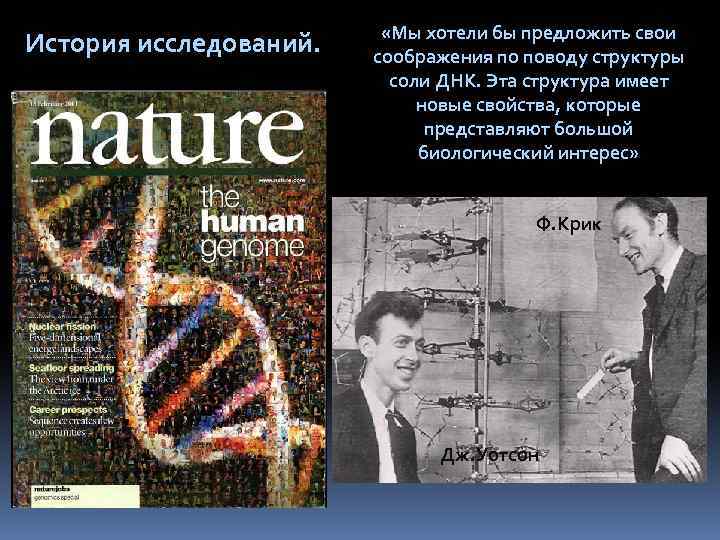 История исследований. «Мы хотели бы предложить свои соображения по поводу структуры соли ДНК. Эта