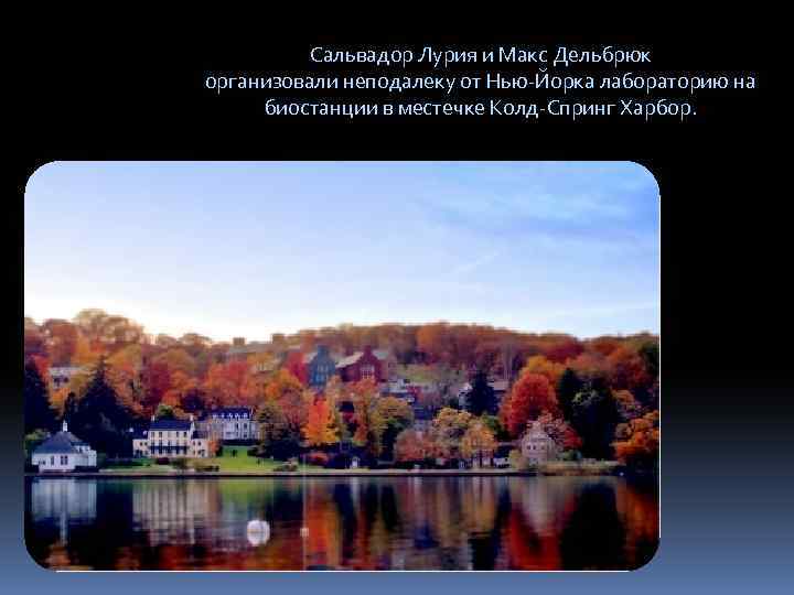 Сальвадор Лурия и Макс Дельбрюк организовали неподалеку от Нью-Йорка лабораторию на биостанции в местечке