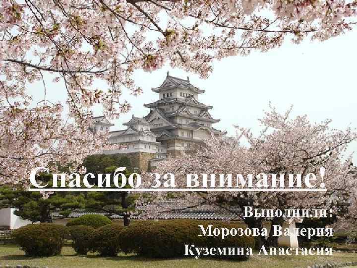 Спасибо за внимание! Выполнили: Морозова Валерия Куземина Анастасия 