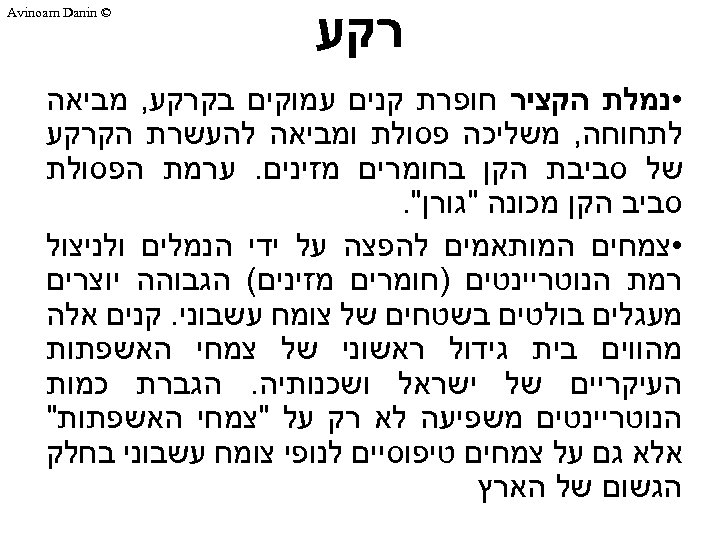  רקע © Avinoam Danin • נמלת הקציר חופרת קנים עמוקים בקרקע, מביאה לתחוחה,