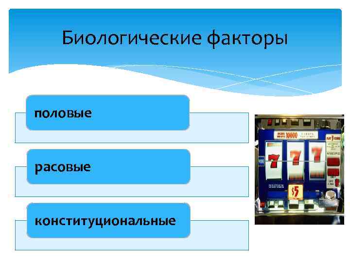 Биологические факторы половые расовые конституциональные 