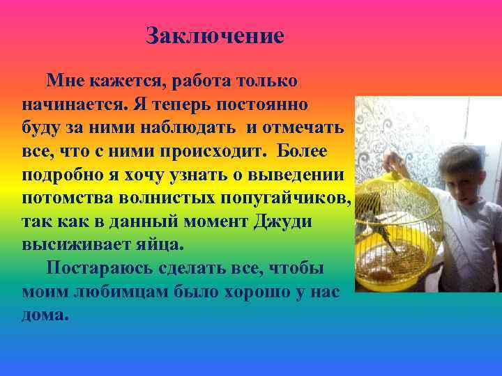 Заключение Мне кажется, работа только начинается. Я теперь постоянно буду за ними наблюдать и