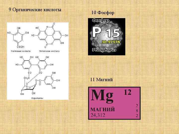 9 Органические кислоты 10 Фосфор 11 Магний 