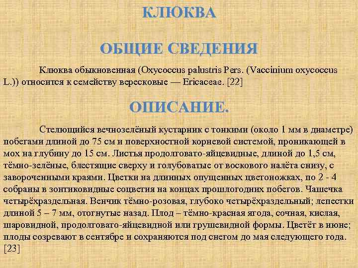 КЛЮКВА ОБЩИЕ СВЕДЕНИЯ Клюква обыкновенная (Oxycoccus palustris Pers. (Vaccinium oxycoccus L. )) относится к