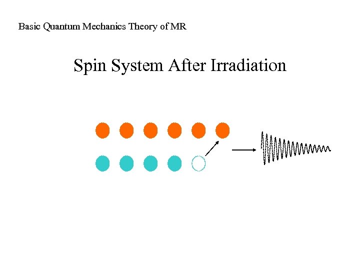 Basic Quantum Mechanics Theory of MR Spin System After Irradiation 