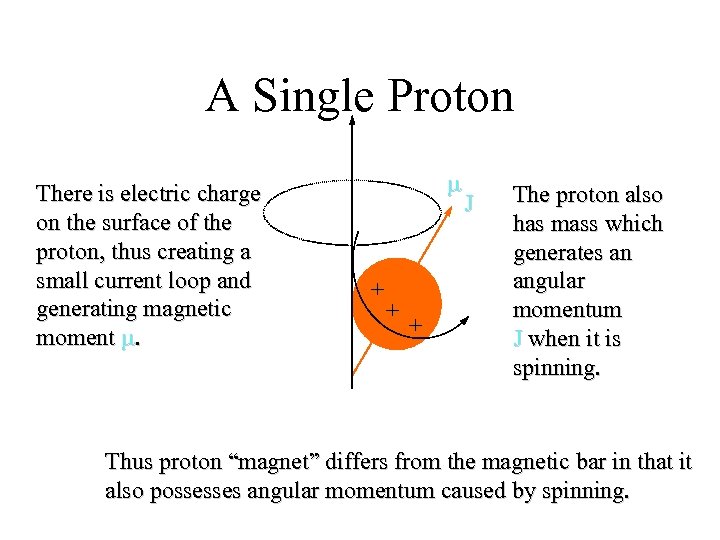 A Single Proton There is electric charge on the surface of the proton, thus