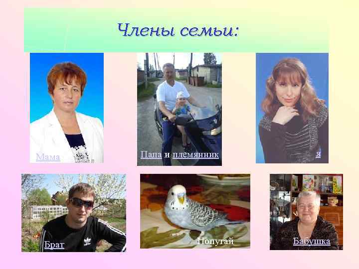 Члены семьи: Мама Брат Папа и племянник Попугай я Бабушка 