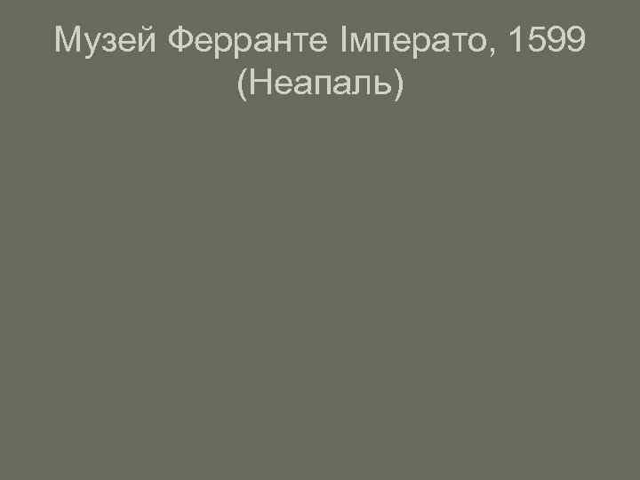 Музей Ферранте Імперато, 1599 (Неапаль) 
