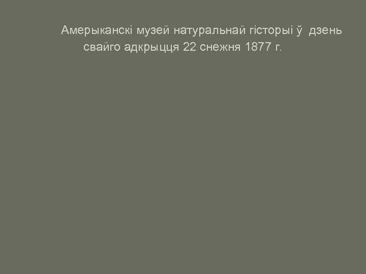 Амерыканскі музей натуральнай гісторыі ў дзень свайго адкрыцця 22 снежня 1877 г. 