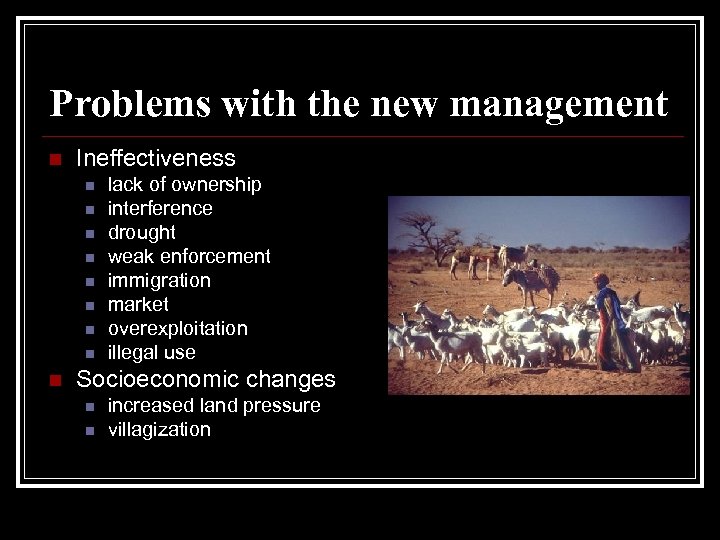 Problems with the new management n Ineffectiveness n n n n n lack of