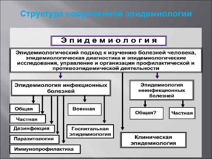 Структура современной эпидемиологии 