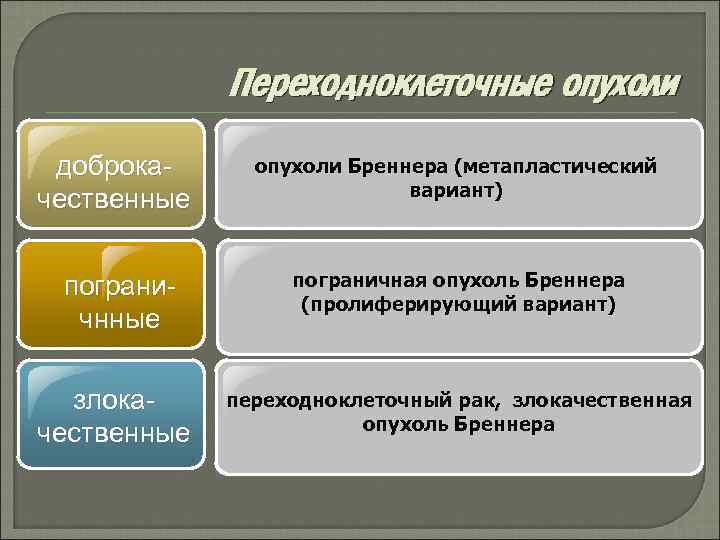 Переходноклеточные опухоли доброкачественные пограничнные злокачественные опухоли Бреннера (метапластический вариант) пограничная опухоль Бреннера (пролиферирующий вариант)