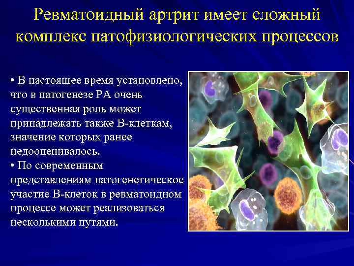 Ревматоидный артрит имеет сложный комплекс патофизиологических процессов • В настоящее время установлено, что в