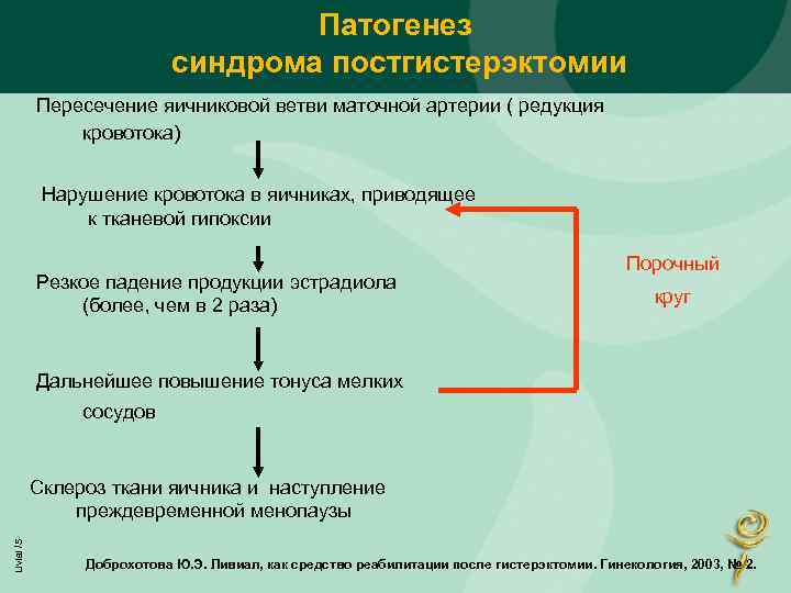 Патогенез синдрома постгистерэктомии Пересечение яичниковой ветви маточной артерии ( редукция кровотока) Нарушение кровотока в